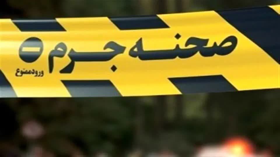 اختلاف دوستانه دخترها مرگبار شد؛ جزئیات قتل یک پدر به دست ۶ دختر نوجوان/ حضور آمبولانس بعد از ۵۰ دقیقه