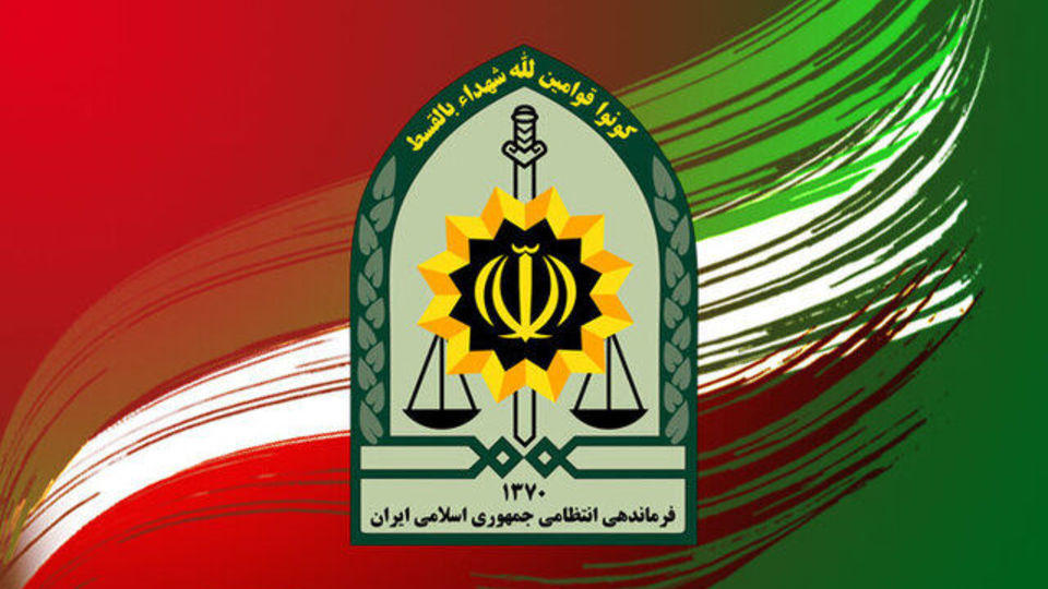 توضیح پلیس درباره بازداشت یکی از بازیگران معروف