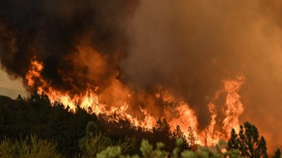 پای زمین‌خواران به آتش‌سوزی الیت باز شد