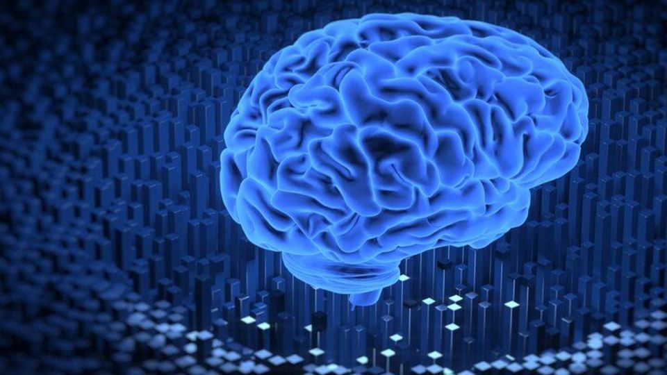 مغز انسان چه زمانی پیر می‌شود؟