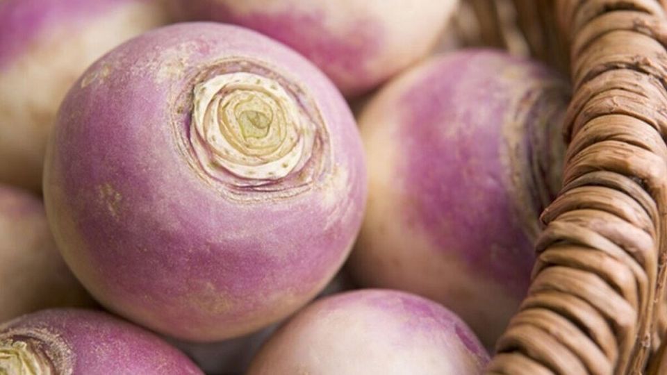 روش تشخیص شلغم‌های شیرین و خوشمزه بهترین روش پخت