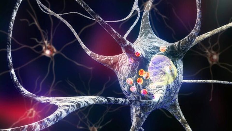 تشخیص بیماری پارکینسون ۹ سال پیش از بروز علائم