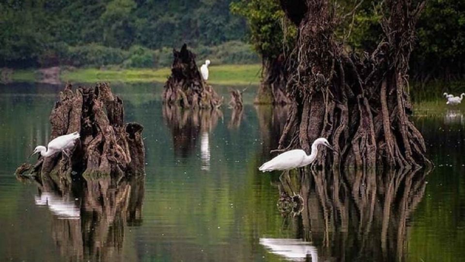 دریاچه ارواح نوشهر؛ نباید تنها به این دریاچه سفر کنید